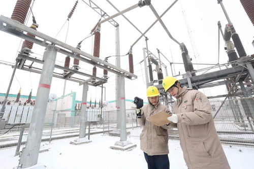 國網天津城東公司開展雪后特巡工作