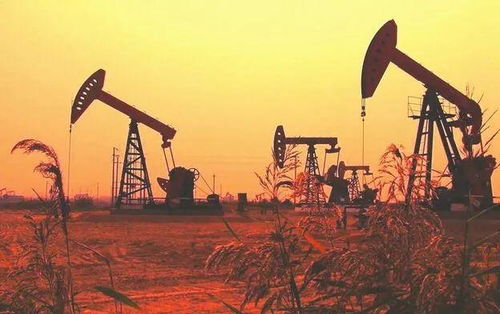 受到油市沖擊,opec 可能會考慮進一步減產